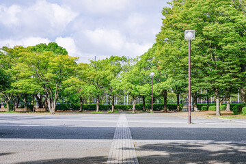 代々木公園イベント広場（東京都渋谷区）