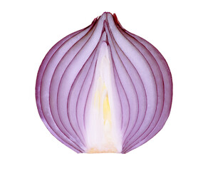 Half onion on transparent background .with PNG