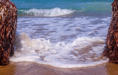 Beach Sea Waves