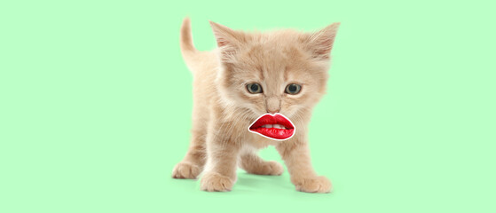 Funny kitten with red human lips on green background