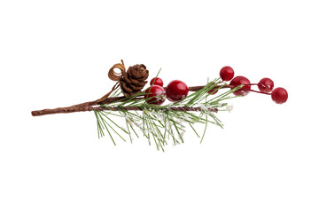 Fir branch, with branches of red berries and snow isolated. christmas tree.Christmas green spruce...