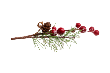 Fir branch, with branches of red berries and snow isolated. christmas tree.Christmas green spruce branch. green fir tree branch, isolated on transparent background png