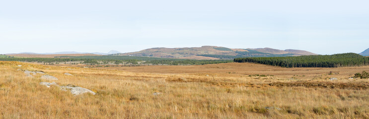 Autumn panorama. Northern Ireland. View of mountains and forest.