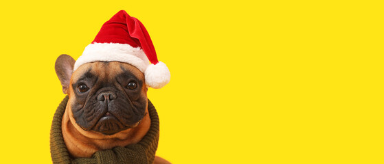 Cute French bulldog in Santa hat on yellow background with space for text