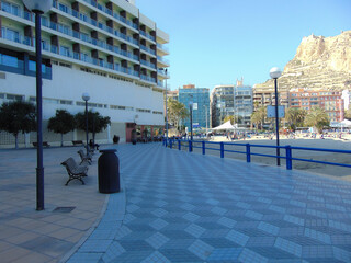 people walking in the city