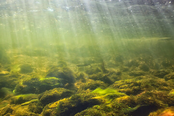 sun rays under water landscape, seascape fresh water river diving