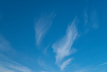 Whispy white clouds against blue sky in daylight