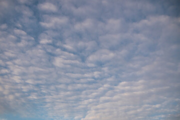 White mackerel clouds against blue sky in daylight