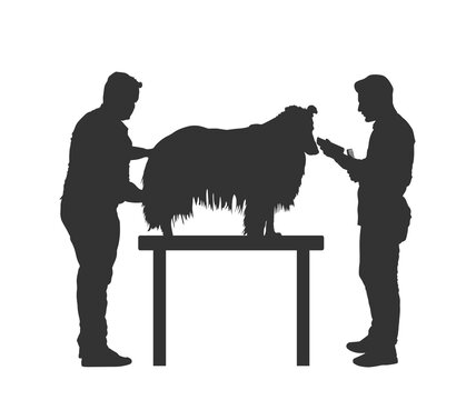 recommend clip art: person with dog