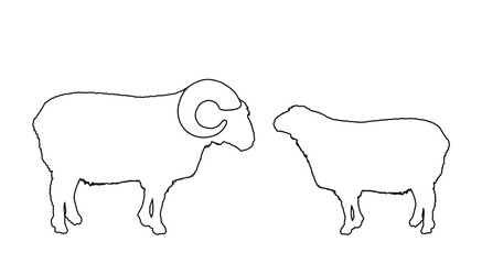 goat vinyl illustration