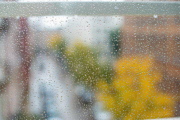 raindrops on the window in Amsterdam 