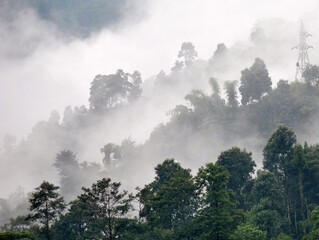 A panoramic view of fog and mist covered verdant terrain looks mesmerizing at Gangtok in Sikkim, India. ..