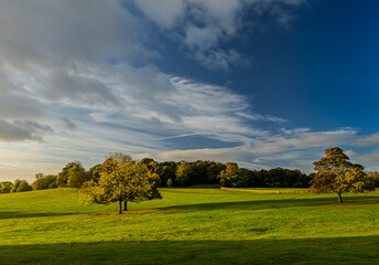 Wentworth Woodhouse, landscape with trees and clouds