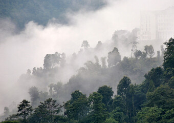 Fototapeta na wymiar A panoramic view of fog and mist covered verdant terrain looks mesmerizing at Gangtok in Sikkim, India. ..