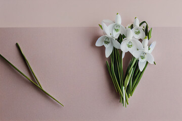 Bouquet of snowdrops on a white wooden background. Greeting card for March 8.