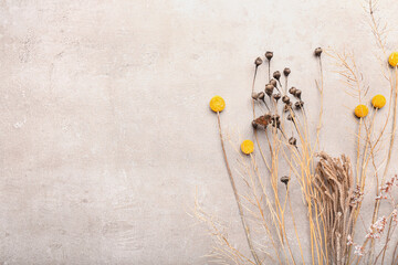 Dried flowers on light background