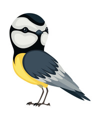 Tit bird in standing position. Titmouse in cartoon flat style beautiful character. illustration isolated on white background