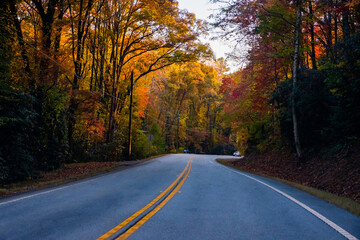 Autumn season concept, country road in autumn forest, Moody autumn, Atlanta, GA