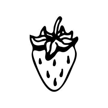 recommend clip art: Strawberry line art. Summer garden berry. Hand drawn vector sketch illustration.