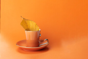 broken orange cup on orange with orange leaf