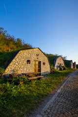 Autumnal Gombos-hegyi pincesor in Hercegkut, UNESCO site, Great Plain, North Hungary