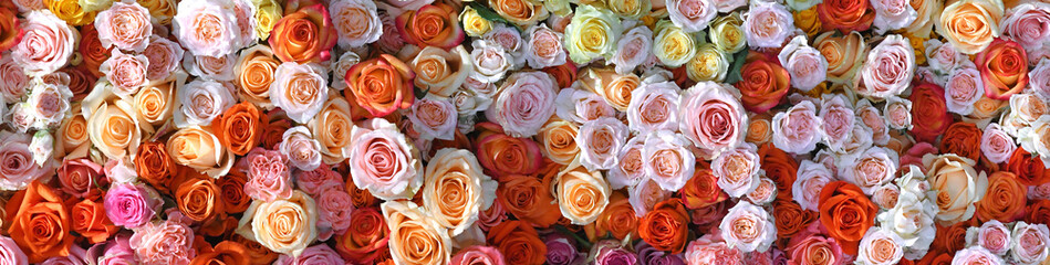 Obraz na płótnie Canvas Flowers wall background with amazing red, orange, pink and yellow roses. flower banner backgrounds. hand made Wedding decoration. Mixed colorful flowers background. Vibrant colors of roses mixed. 