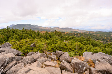 白駒池　高見石