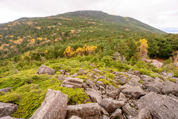 白駒池　高見石