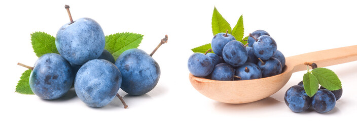 blackthorn berries in a wooden spoon with leaves isolated on white background
