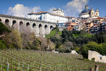 Aricia, Roma. Panorama con vigneto e Ponte della Via Appia Antica verso Palazzo Chigi e cupola di...