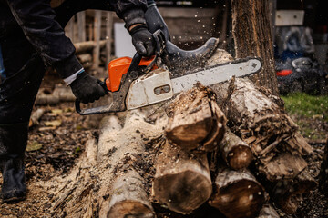 Cropped picture of a lumberman sawing woods on a pile with chainsaw.