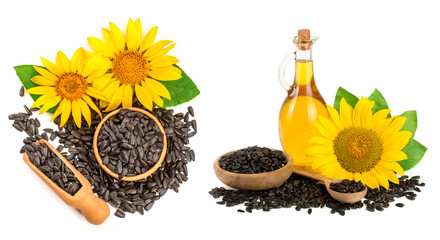 Sunflower oil, seeds and flower isolated on white background. Top view