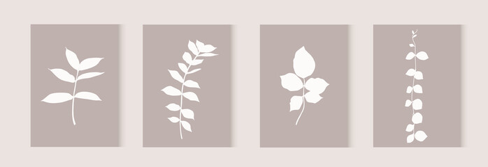 Botanical wall art vector set. Different foliage for boho print or poster. Leaf silhouettes on earth color background.