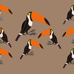Horizontal stylized colored toucans.  Hand drawn.