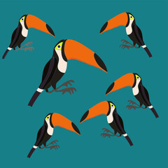 Stylized colored toucans.  Hand drawn.