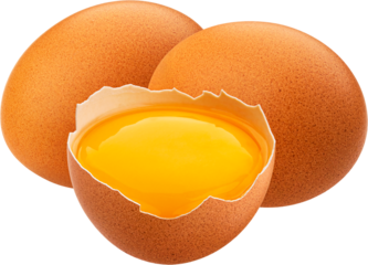 Brown egg isolated