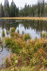 Landscape at Grand Teton National Park. Wyoming. Usa.