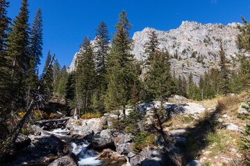 Fototapeta premium Landscape at Grand Teton National Park. Wyoming. Usa.