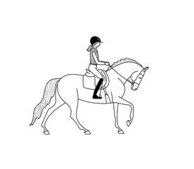 Horse and rider cantering, stylized vector, illustration, freehand pencil