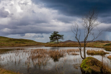 Kelly Hall Tarn near Coniston