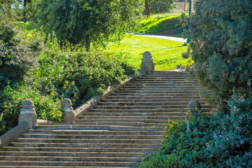Cement staircase in a park or garden in public recreation area of the suburban city in late afternoon shade with trees and plants © Aaron