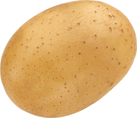 One whole potato isolated