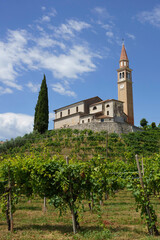 Vineyards along the Road of Prosecco e Conegliano Wines