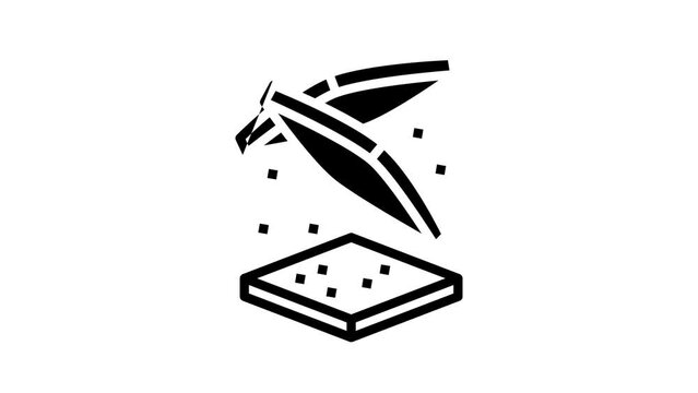 bread slice food cut line icon animation