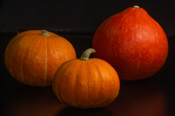Yellow-orange pumpkins on a black background the concept of Halloween and the autumn harvest of pumpkin close-up copyspace from above