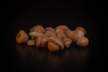 Acorns on a black background close-up