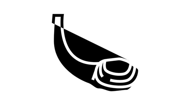 geoduck pacific clam line icon animation