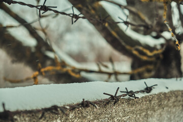 Old barbed wire on a concrete fence large with snow in winter close-up Selective focus