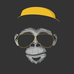 Monkey in sunglasses and a hat on a dark background. Vector illustration