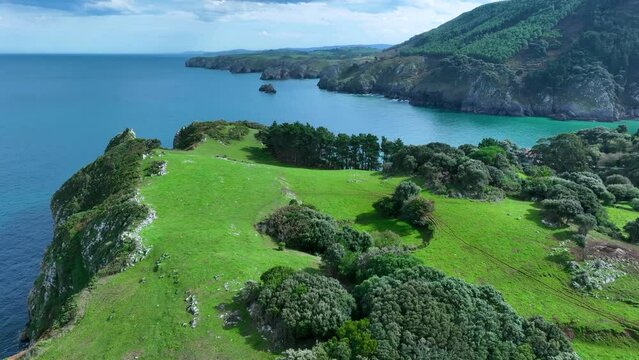 Landscape of cliffs and mowing meadows on the Am&iacute;o Coast. Aerial view from a drone. Pechon town. Cantabria. Spain. Europe.